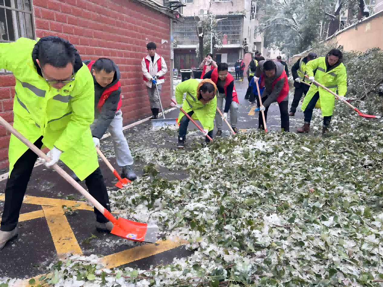 BG大游(中国)唯一官方网站