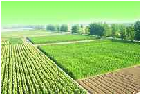 BG大游(中国)唯一官方网站