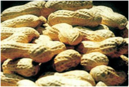 BG大游(中国)唯一官方网站