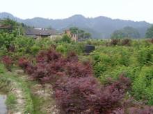 BG大游(中国)唯一官方网站