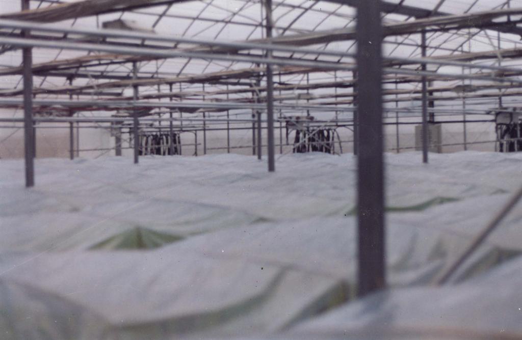 BG大游(中国)唯一官方网站