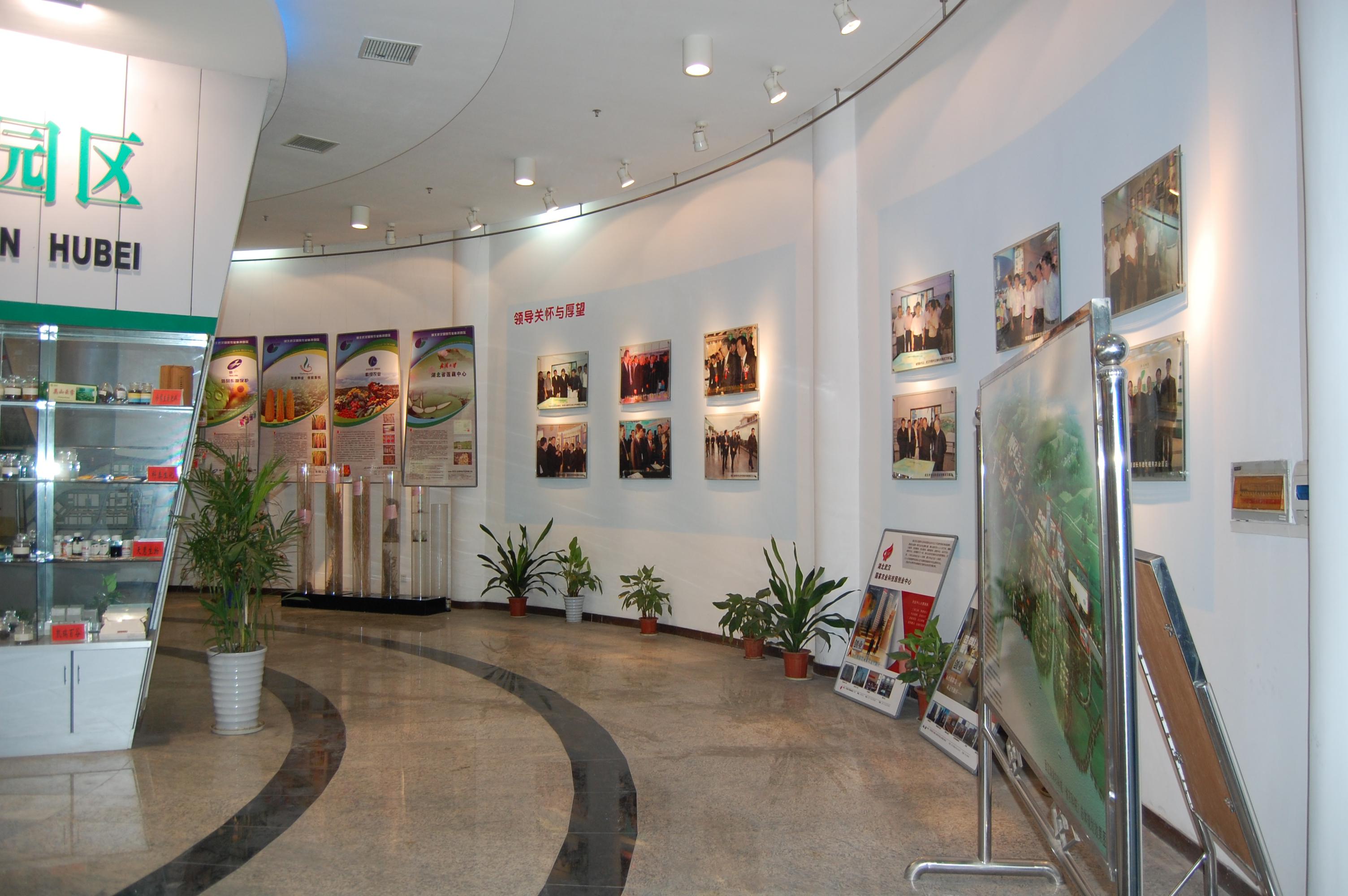 BG大游(中国)唯一官方网站