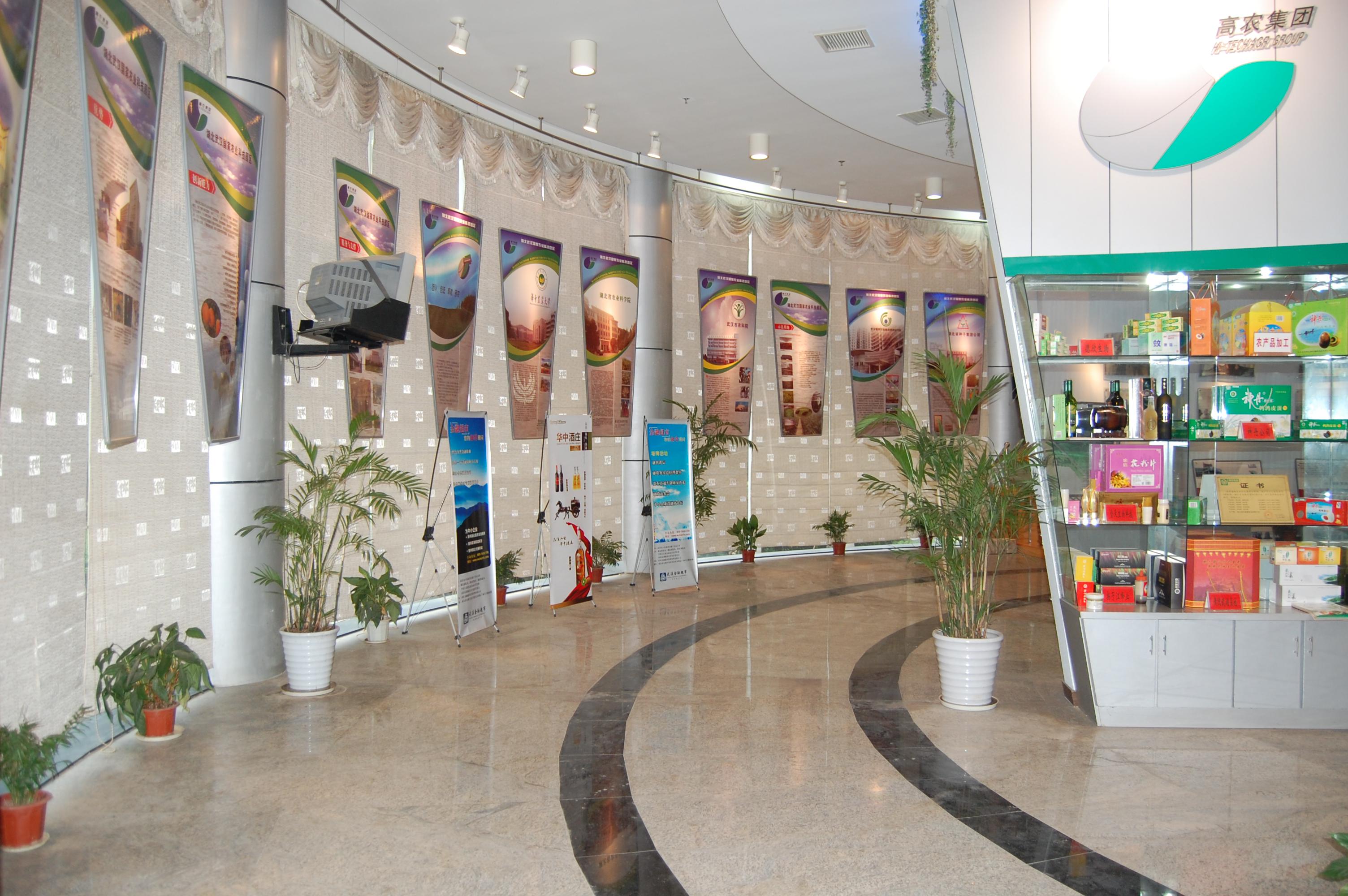 BG大游(中国)唯一官方网站