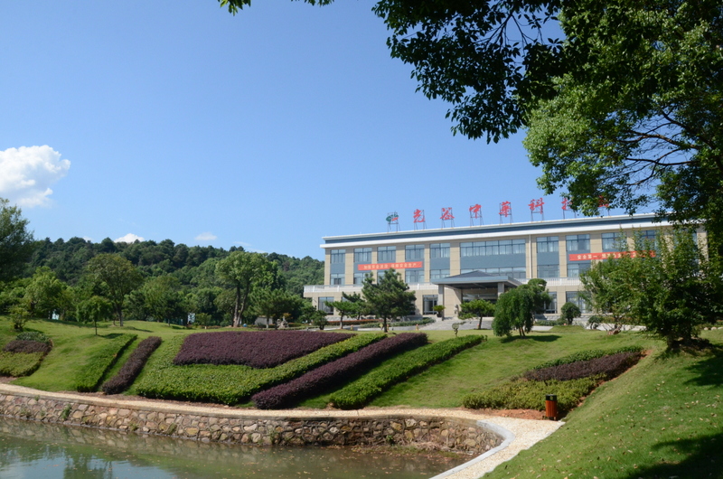 BG大游(中国)唯一官方网站