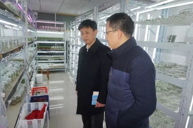 BG大游(中国)唯一官方网站