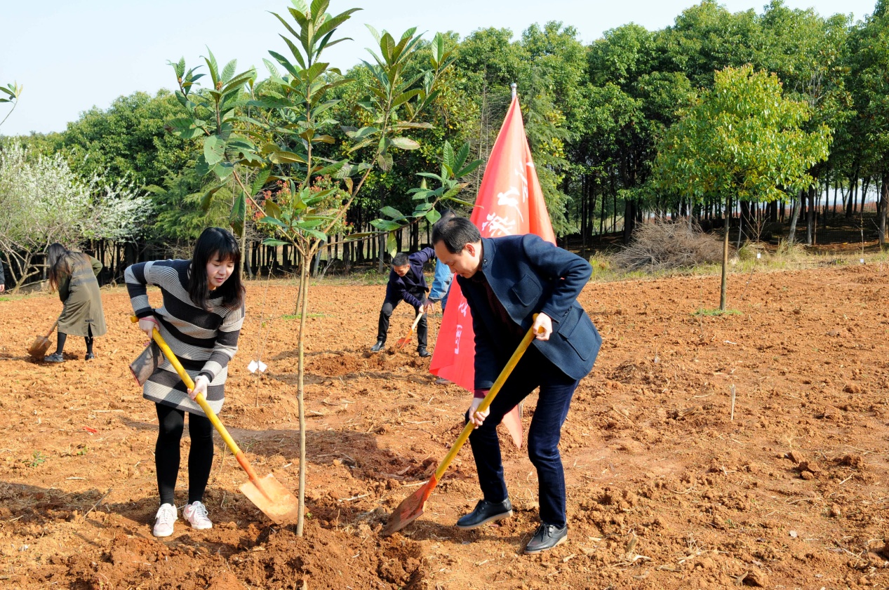BG大游(中国)唯一官方网站