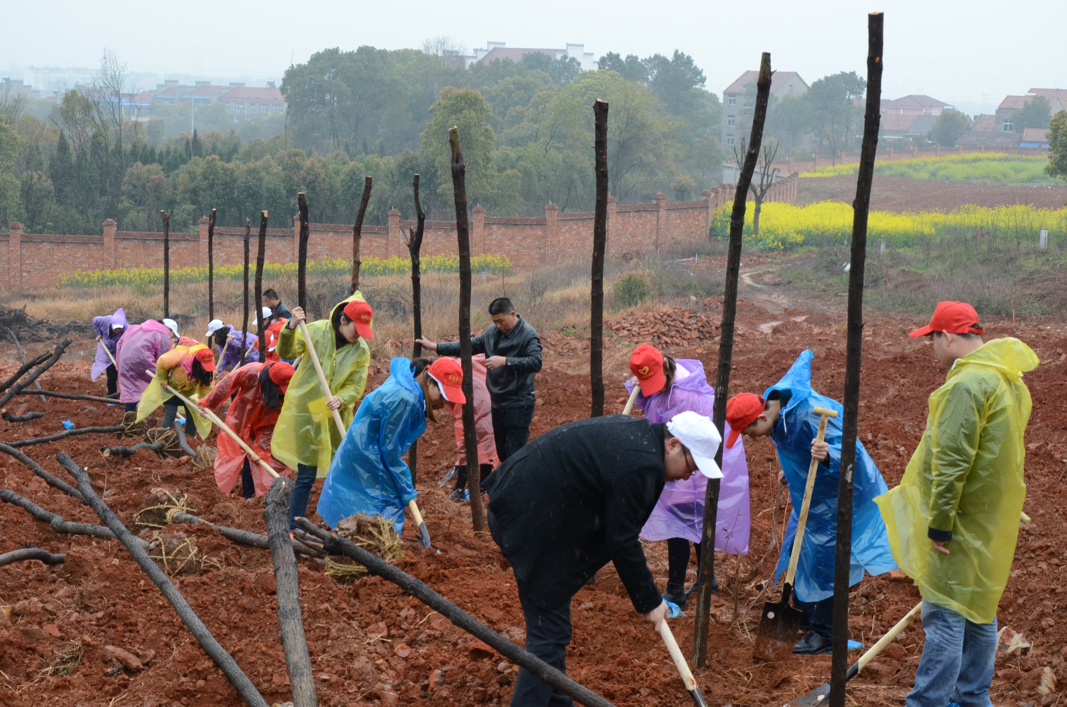 BG大游(中国)唯一官方网站